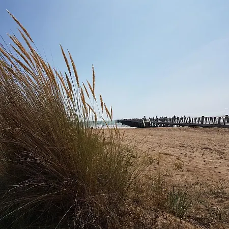 Les Chagnelles Camping *