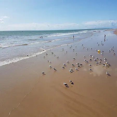 Camping Les Chagnelles *